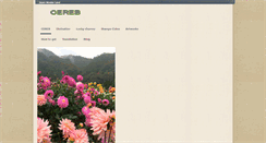 Desktop Screenshot of cereb.jp